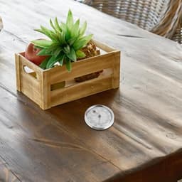 Mini Plastic Analog Thermohygrometer Humidity Meter